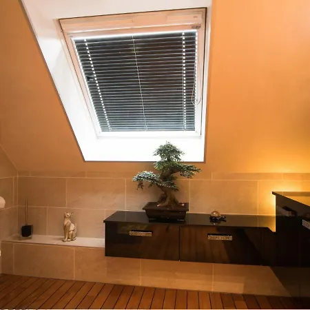 A Decouvrir - Le Safari - Secteur Gare Apartment Haguenau