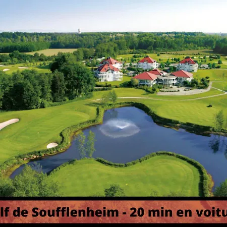 A Decouvrir - Le Safari - Secteur Gare * Haguenau